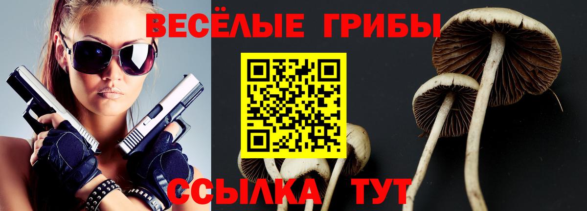 Ярославль  Псилоцибиновые грибы Psilocybine cubensis  Вход с VPN 