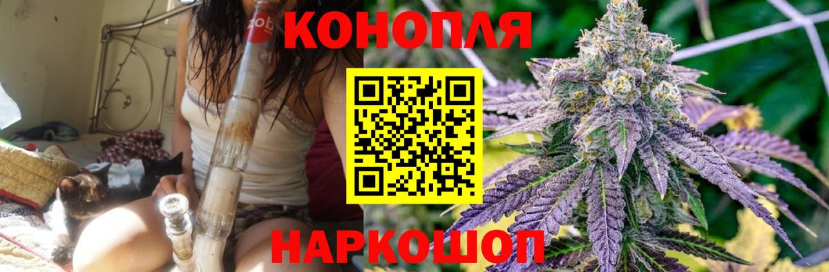 Ярославль  Бошки Шишки Amnesia  Марихуана семена  Бошки марихуана THC 21%  Вход с VPN  Бошки марихуана гибрид 